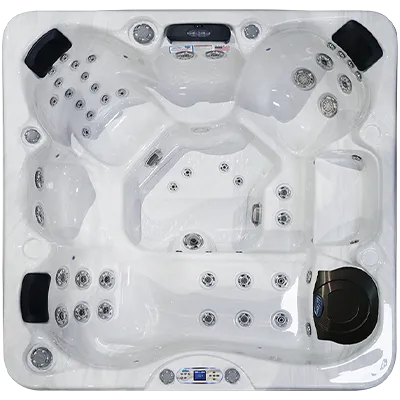 Avalon EC-849L hot tubs for sale in Longview